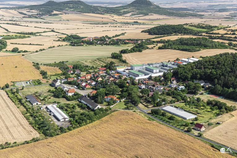 Bělušice
