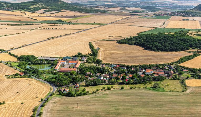 Odolice