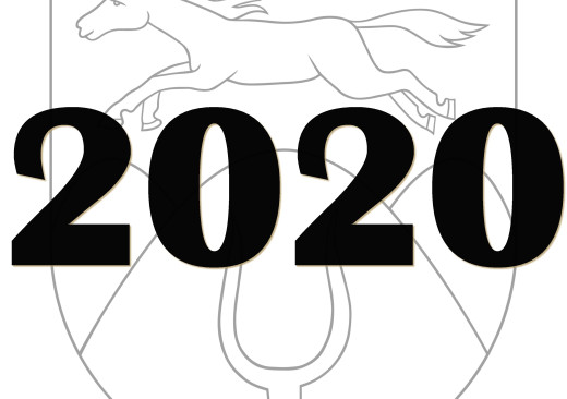 Rok 2020